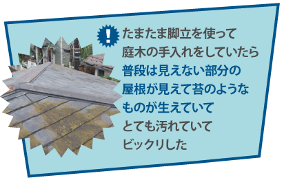 たまたま脚立を使って 庭木の手入れをしていたら普段は見えない部分の 屋根が見えて苔のようなものが生えていてとても汚れていてビックリした
