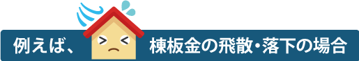 棟板金の飛散・落下の場合