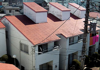 点検の最後となる5号棟です。こちらは写真からでも外壁がやや傷んでいるのが分かります。屋根や採光部の外壁の傷みも確認できます。