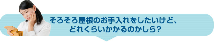 そろそろ屋根のお手入れをしたいけど、どれくらいかかるのかしら?