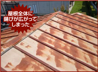 屋根全体に錆びが広がってしまった