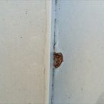 塗膜が剥がれて錆が出てくる