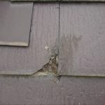 既にクラックが入りすぎて欠けてしまっている所もありました
