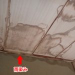 川崎市幸区古市場にて雨漏りからの屋根の部分葺き替えと棟瓦取り直し工事