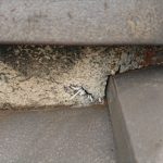 セメントが用いられていた棟