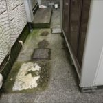日当たりが悪いところに苔が繁殖している