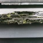 表層剥離の様子