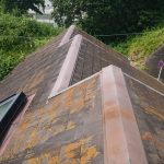 切妻屋根で棟違いの屋根全体に苔やカビが散見されます