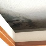気付いていても放置した雨漏り