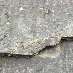 欠け方がボロボロとしている