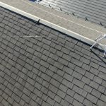 ドローンを使用して上空から調査