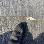 端部が欠けている箇所が多くあります