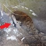 排水口の回りに穴が空いています