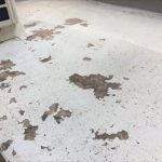 トップコートの剥がれが早めに塗り替え