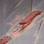 錆びて剥がれた棟板金の鋼板