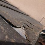 表層剥離を引き起こしているパミール
