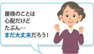 屋根のことは心配だけどたぶん…まだ大丈夫だろう！