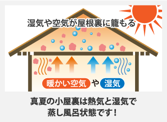 真夏の小屋裏は熱気と湿気で蒸し風呂状態です！