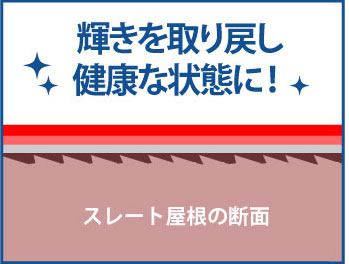 輝きを取り戻し健康な状態に