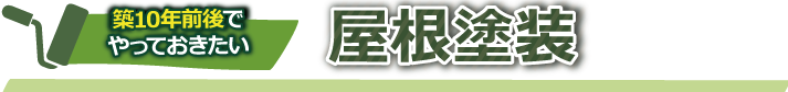 築10年前後でやっておきたい屋根塗装