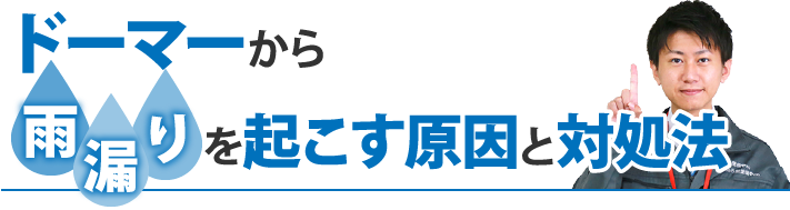 ドーマーから雨漏りを起こす原因と対処法