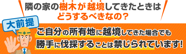 隣の家の樹木が越境してきたときはどうするべきなの？