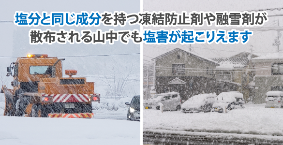 塩分と同じ成分を持つ凍結防止剤や融雪剤が散布される山中でも塩害が起こりえます