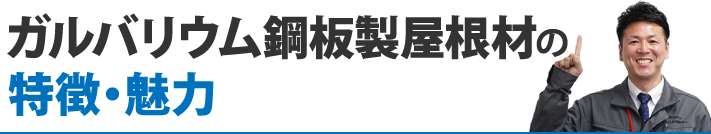 ガルバリウム鋼板製屋根材の特徴・魅力