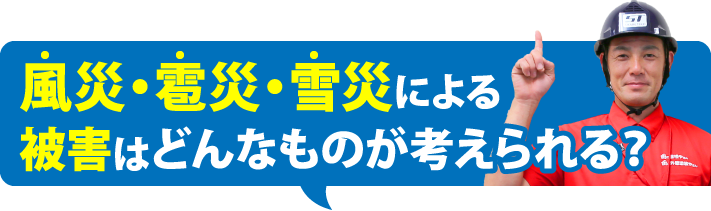 風災・雹災・雪災による 被害はどんなものが考えられる？