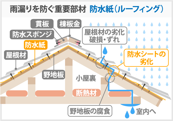 雨漏りを防ぐ重要部材防水紙（ルーフィング）