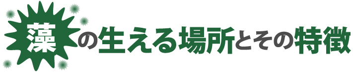 セメント瓦とモニエル瓦のメンテナンスについて詳しくはコチラ