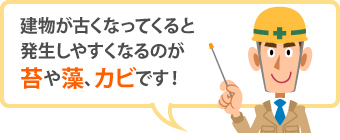 日当たりが悪い部分の外壁にも生えてきますし、環境によっては何度も繰り返されるので「苔や藻、カビが生えるのはしょうがないもの」と諦めてしまっている方も多いと思います。