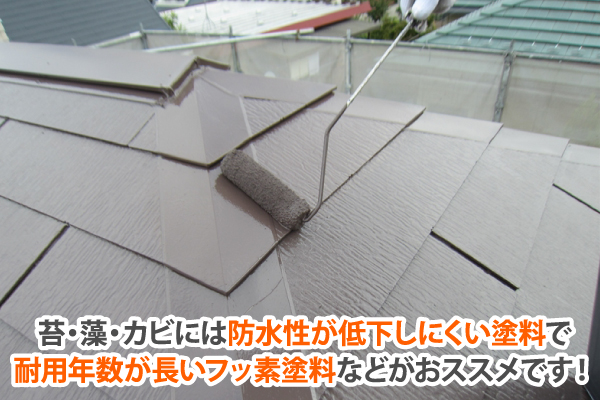 苔・藻・カビには防水性が低下しにくい塗料で耐用年数が長いフッ素塗料などがおススメです！