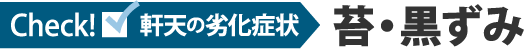 軒天の劣化症状苔・黒ずみ