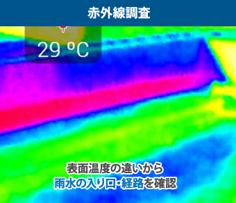 赤外線調査