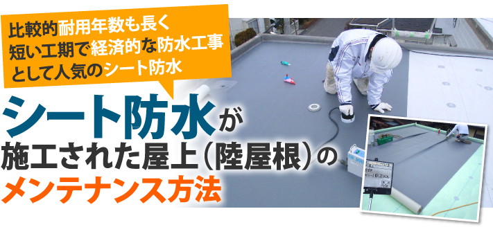 シート防水の劣化はどんな風に起こる？建物の寿命を延ばすには劣化状況を知って正しいメンテナンスを！