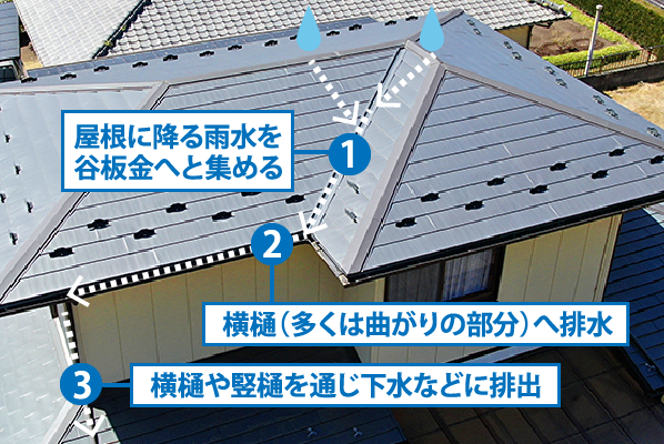 屋根に降る雨水を谷板金へと集める,横樋（多くは曲がりの部分）へ排水,横樋や竪樋を通じ下水などに排出