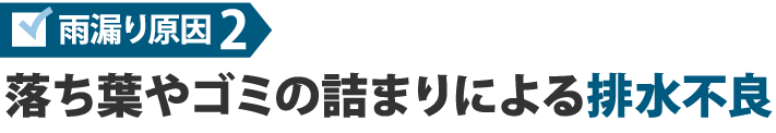 雨漏り原因2 落ち葉やゴミの詰まりによる排水不良