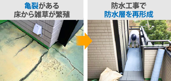 亀裂がある床から雑草が繁殖→防水工事で防水層を再形成