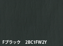 Fブラック　2BC1FW2Y