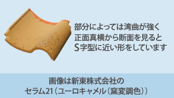 部分によっては湾曲が強く正面真横から断面を見るとS字型に近い形をしています