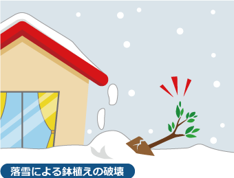 落雪による鉢植えの破壊