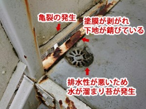 排水口の水はけが悪い