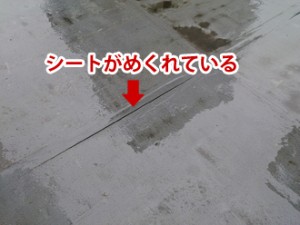 シート防水めくれ