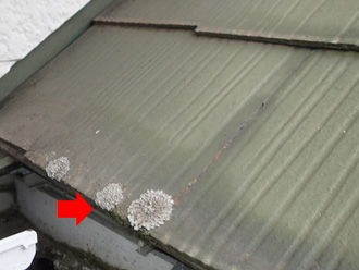 川崎市宮前区　スレート屋根の点検　苔が発生している