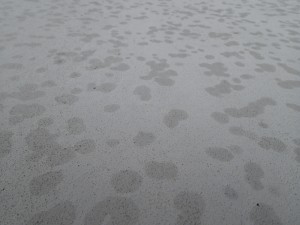 陸屋根の防水荒れ