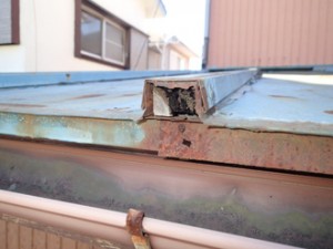 瓦棒屋根劣化芯木