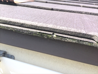 スレート剥離③