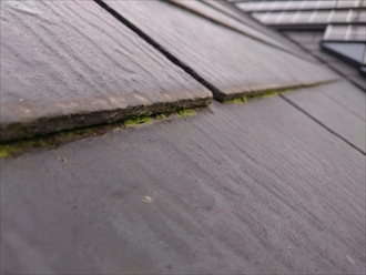 横浜市旭区で雨漏りの原因調査をおこないました