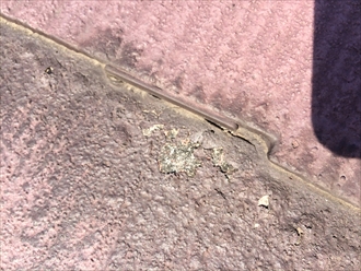 塗膜剥がれ③拡大